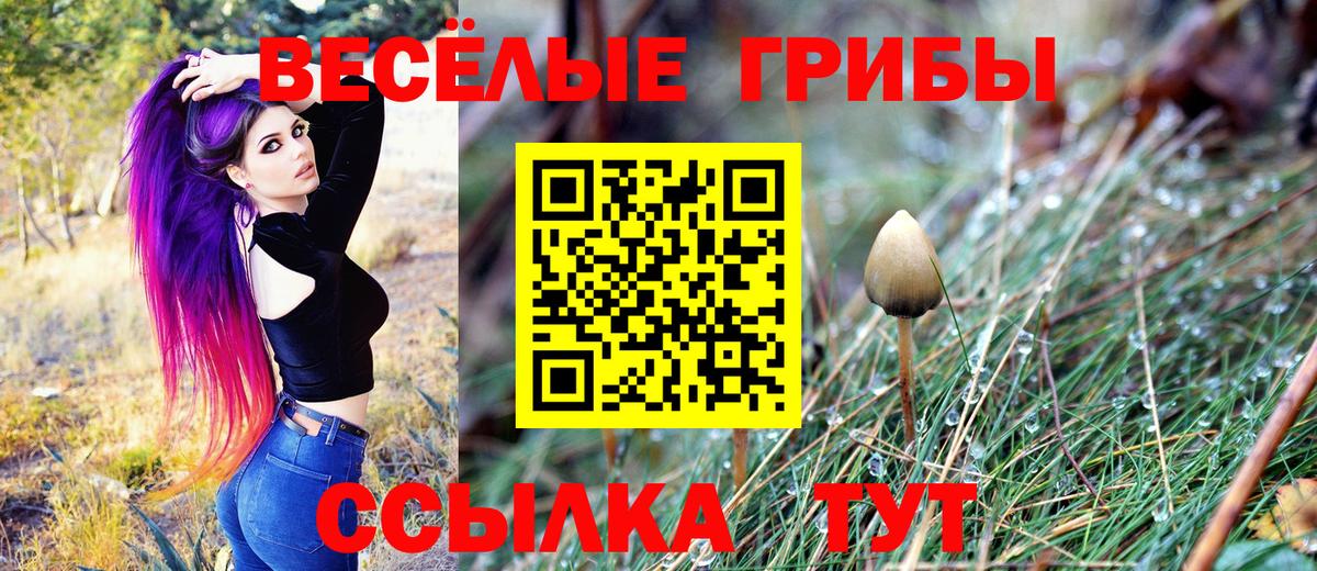 Галлюциногенные грибы прущие грибы  Вход с VPN  Ленинск-Кузнецкий 